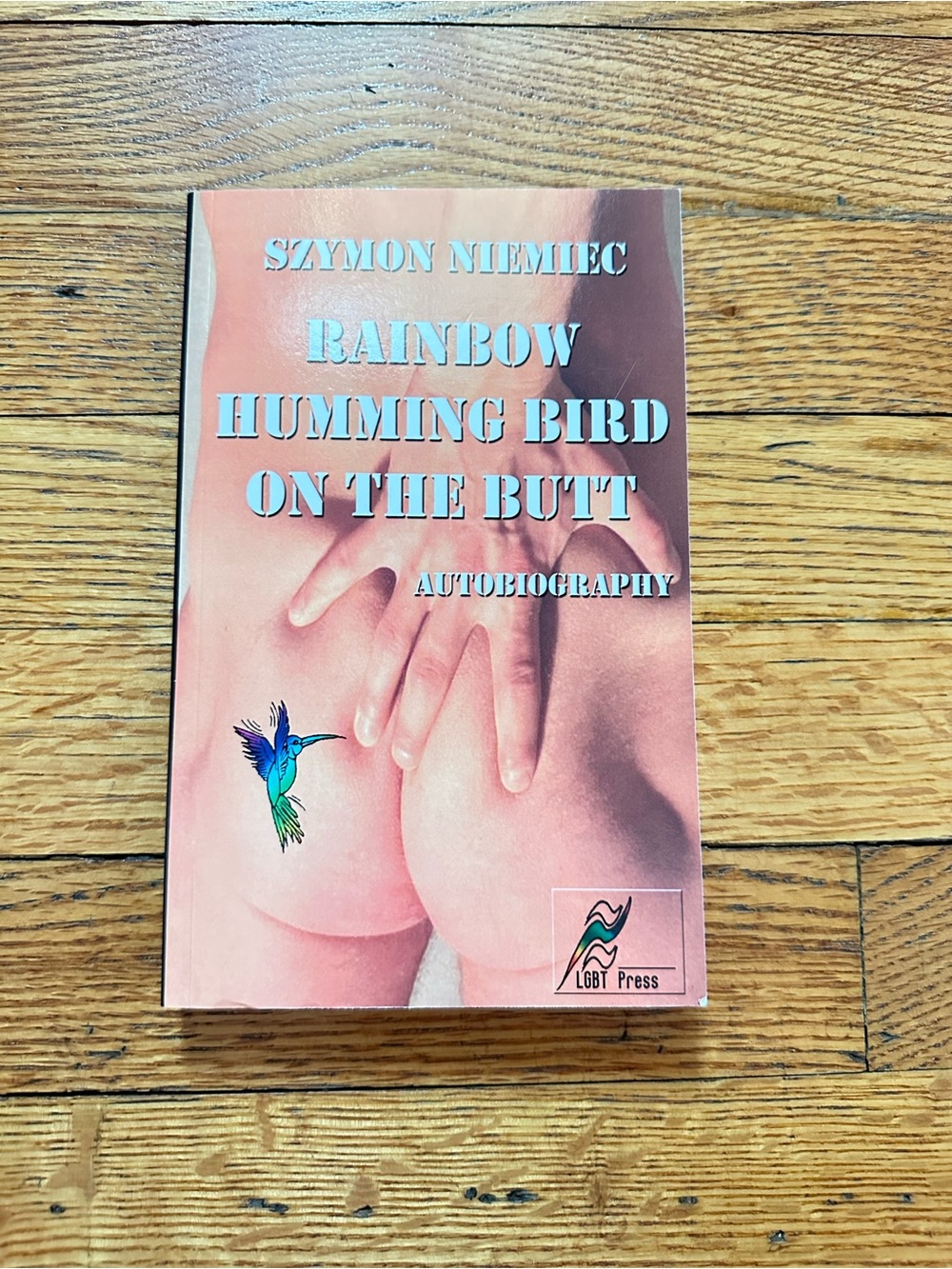Rainbow Humming Bird on the Butt Szymon Niemiec LGBTQ+ Memoir Paperback